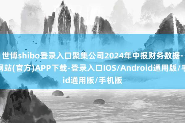 世博shibo登录入口聚集公司2024年中报财务数据-世博网站(官方)APP下载-登录入口IOS/Android通用版/手机版