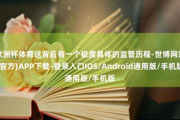 欧洲杯体育这背后有一个极度具体的监管历程-世博网站(官方)APP下载-登录入口IOS/Android通用版/手机版