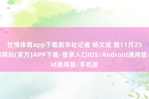 世博体育app下载　　新华社记者 杨文斌 摄　　11月25日-世博网站(官方)APP下载-登录入口IOS/Android通用版/手机版