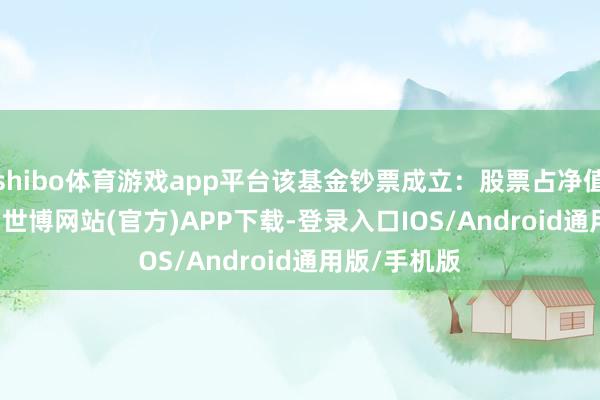 shibo体育游戏app平台该基金钞票成立：股票占净值比91.64%-世博网站(官方)APP下载-登录入口IOS/Android通用版/手机版