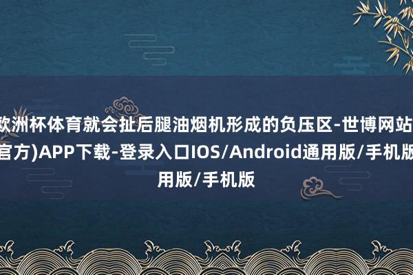 欧洲杯体育就会扯后腿油烟机形成的负压区-世博网站(官方)APP下载-登录入口IOS/Android通用版/手机版