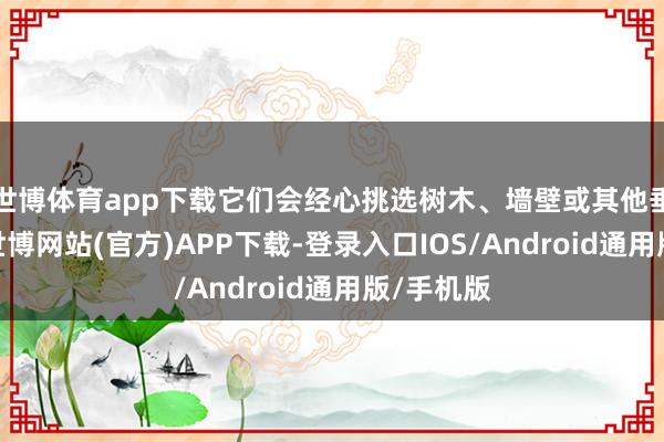世博体育app下载它们会经心挑选树木、墙壁或其他垂直名义-世博网站(官方)APP下载-登录入口IOS/Android通用版/手机版