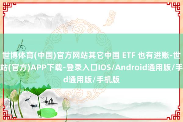 世博体育(中国)官方网站其它中国 ETF 也有进账-世博网站(官方)APP下载-登录入口IOS/Android通用版/手机版