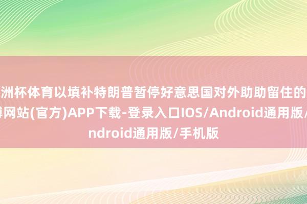 欧洲杯体育以填补特朗普暂停好意思国对外助助留住的缺口-世博网站(官方)APP下载-登录入口IOS/Android通用版/手机版