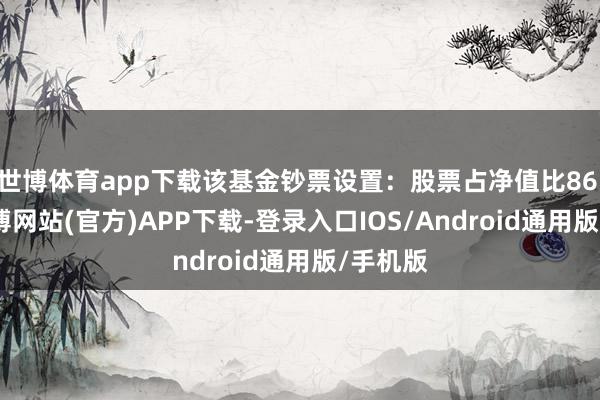 世博体育app下载该基金钞票设置：股票占净值比86.3%-世博网站(官方)APP下载-登录入口IOS/Android通用版/手机版